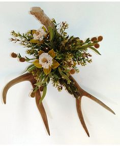 an arrangement of flowers and antlers on a white background