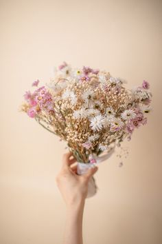 a hand holding a bouquet of wildflowers in front of a beige background with pink and white flowers