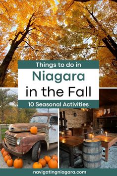 things to do in niagara in the fall with text overlay that reads things to do in niagara in the fall 10 seasonal activities