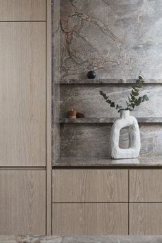 a vase sitting on top of a wooden shelf next to a wall filled with shelves