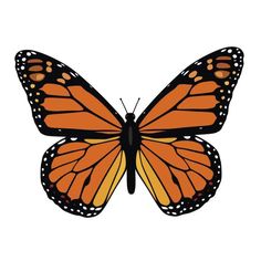 an orange butterfly with white dots on it's wings and the words how to draw a monarch butterfly all copyrights reserved 2012