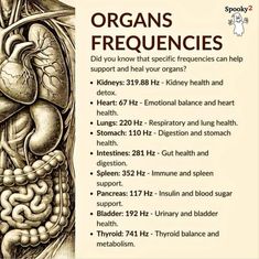 Frequency Healing, Lungs Health, Energy Medicine, Home Health Remedies, Healing Frequencies, Holistic Remedies, Kidney Health, Health Knowledge, Holistic Medicine