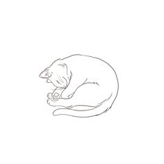 a black and white drawing of a cat sleeping