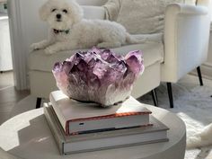 a white dog sitting on a couch next to a pile of books and a crystal bowl