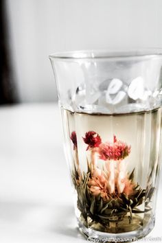 a glass cup filled with water and flowers