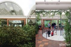 two pictures of people standing in the middle of a circular area with trees and bushes