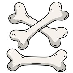 two bones and crossbones on a white background