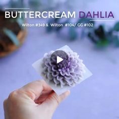 a person is holding a small flower in their hand with the caption buttercream dahlia