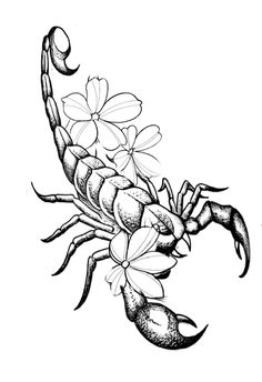 a black and white drawing of a scorpion with flowers on it's back legs