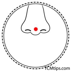 the Touwei or ST-8. This is another stomach meridian Accupressure Point On Face, Accupressure Point For Clear Skin, Accupuncture Points, Stomach Meridian, Accupressure Point Nausea, Spleen Meridian, Accupressure Point For High Bp, Master Tung Acupuncture