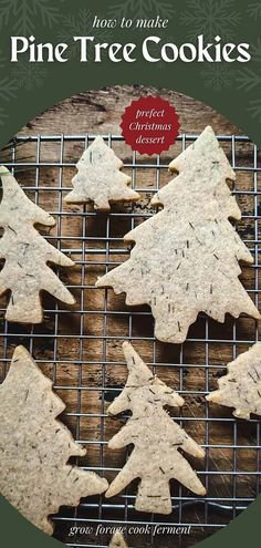 the cover of how to make pine tree cookies