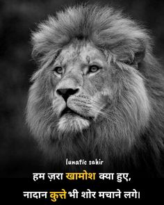 a black and white photo with an image of a lion