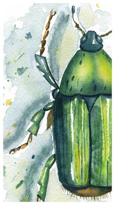 a watercolor painting of a green bug