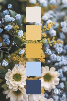 blue, yellow and white flowers are arranged in the same color scheme for this photo