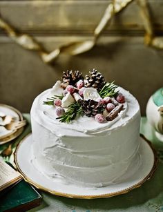 a white cake sitting on top of a table covered in frosting and pine cones