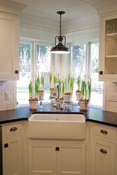 a kitchen with white cabinets and black counter tops, an island style sink and potted plants in the window sill