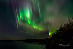 the aurora bore is glowing brightly in the night sky over water and trees with lights on them