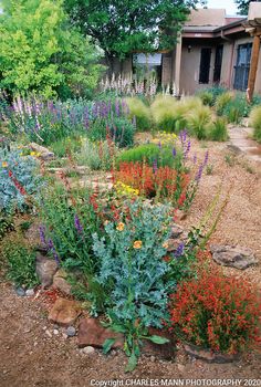 a garden with rocks and flowers in the foreground, next to a house on a dirt road