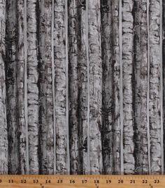 a ruler is next to an image of many trees in the woods with black and white stripes