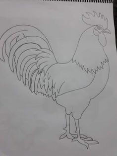 a drawing of a rooster is shown in this image, it appears to be drawn on paper