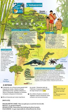 a map with animals and people on it, including the amazon rainforests in latin america