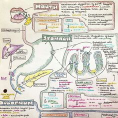 a diagram on a whiteboard with words and pictures