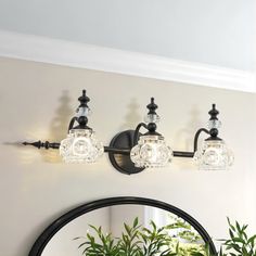 three lights on the wall above a mirror and potted plant in front of it