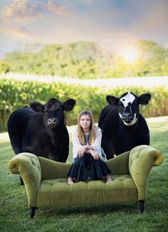 a woman sitting on a couch in front of two cows