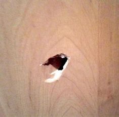 a piece of wood with a hole in it