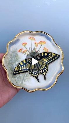 a hand holding a plate with a butterfly on it