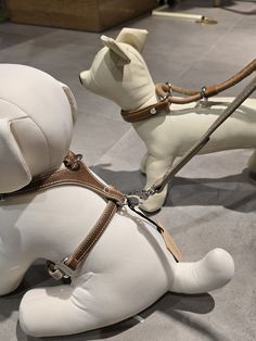 two white dogs with harnesses and leashes sitting on the floor next to each other