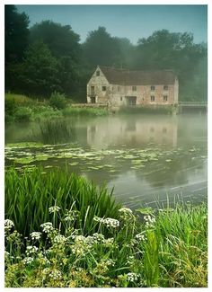 an old house sitting on top of a lush green field next to a lake filled with water lilies