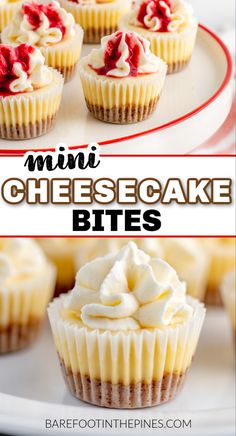 mini cheesecake bites on a white plate with the title in red and white above it