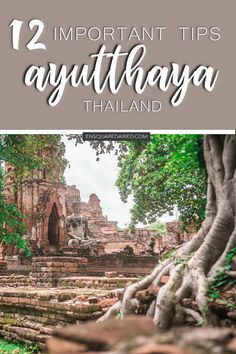 an old tree with the words, 12 important tips to visit in southeast asia and thailand