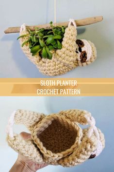 a crocheted planter hanging from a wooden branch with succulents in it