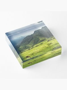 an image of cows grazing in the grass on a sunny day with mountains in the background