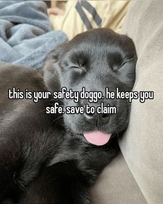 a black dog laying on top of a couch with its tongue out and it's eyes closed