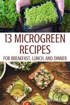 the cover of 13 microgreen recipes for breakfast, lunch and dinner is shown