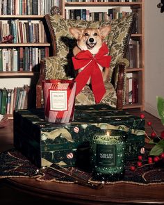 a dog sitting in a chair next to two candles and some books on a table