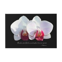 two white and red orchids with a quote on the back ground that says, there is only one flower in bloom