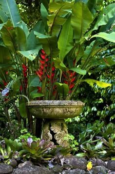 a garden with plants, rocks and a stone birdbath in the foreground