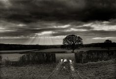 a black and white photo of a field with a tree in the distance under a cloudy sky