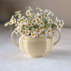 small white flowers in a cream colored pitcher