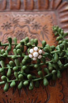 Vintage Ring -Gold tone -Round, white beads  -Great, retro statement ring -Boho vibes -I do not have actual size of ring -  would best fit a ring size 6 Condition: In great, unpolished, vintage condition with very minimal surface wear. I am more than happy to combine shipping on items in my shop. Please contact me before purchasing. ~Shipping charge overages of more than $2 will be refunded. FOR INTERNATIONAL SHIPPING: I am more than happy to ship internationally! Please contact me for a shippin Vintage White Ring Jewelry, White Beaded Wedding Rings, Vintage White Handmade Rings, Handmade Vintage White Rings, Vintage Handmade White Rings, Vintage White Beaded Jewelry, White Bohemian Beaded Rings, Bohemian White Wedding Rings, White Beaded Rings