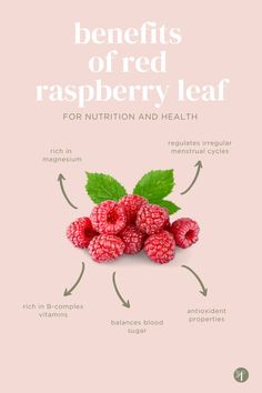 Red raspberry leaf has several health benefits, which why every woman needs to be consuming this goodness on a daily basis | Natural wellness solutions for the modern woman. Reinvent your routine with Femallay - toxin-free and organic feminine products to enhance your well-being naturally Organic Feminine Products, Feminine Wellness, Fibroid Diet, Tinctures Recipes, Wellness Tea, Feminine Products