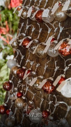 there are many wine glasses hanging on the tree