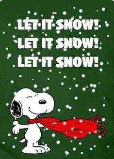 a snoopy christmas card with the words let it snow, let it snow