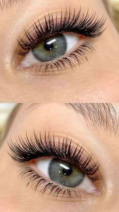 Hybrid Lash Extensions For Hooded Eyes, Half Lash Extensions, Eyelash Extension Cat Eye, Fox Eye Lash Extensions, Lash Tech Supplies, Lash Retention, Brown Lashes, Classic Makeup Looks, Lash Boss