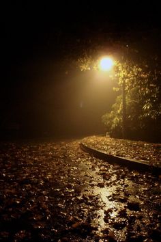 a street light shines in the dark on a wet road with leaves all over it