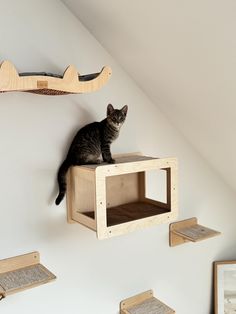 a cat sitting on top of a wooden box in the corner of a room with shelves